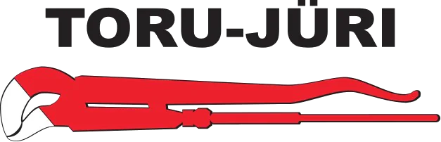 Torujüri